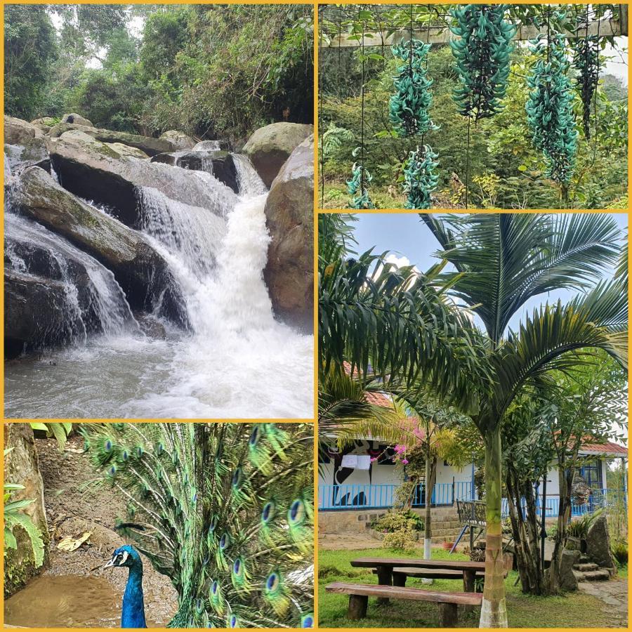 Finca Jardin Del Agua Villa Sasaima Eksteriør billede