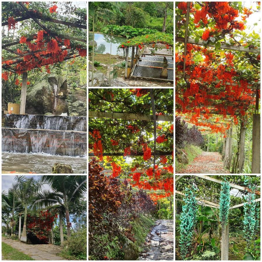 Finca Jardin Del Agua Sasaima Eksteriør billede
