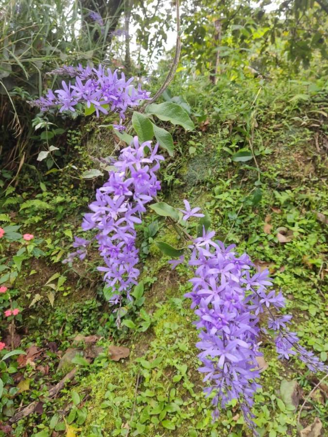 Finca Jardin Del Agua Sasaima Eksteriør billede