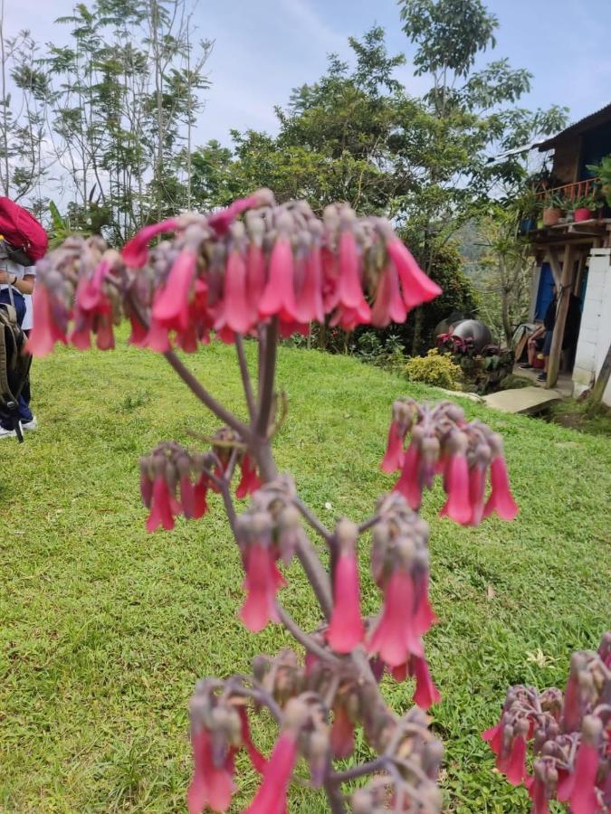 Finca Jardin Del Agua Villa Sasaima Eksteriør billede