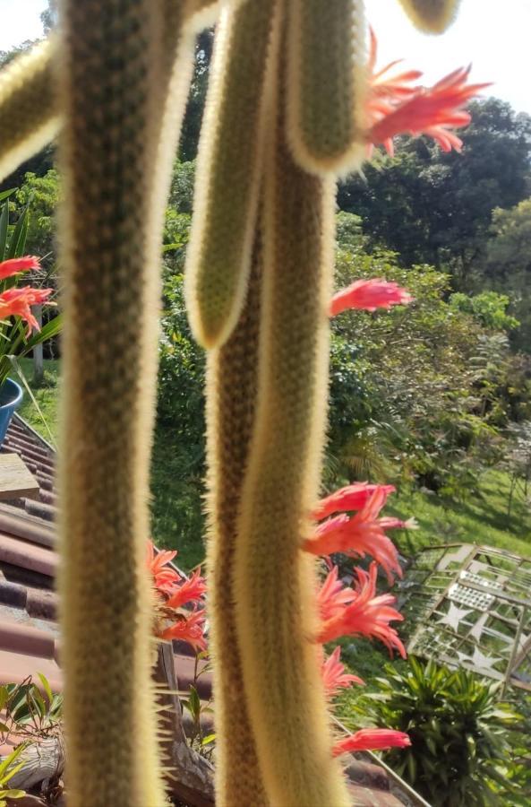 Finca Jardin Del Agua Sasaima Eksteriør billede