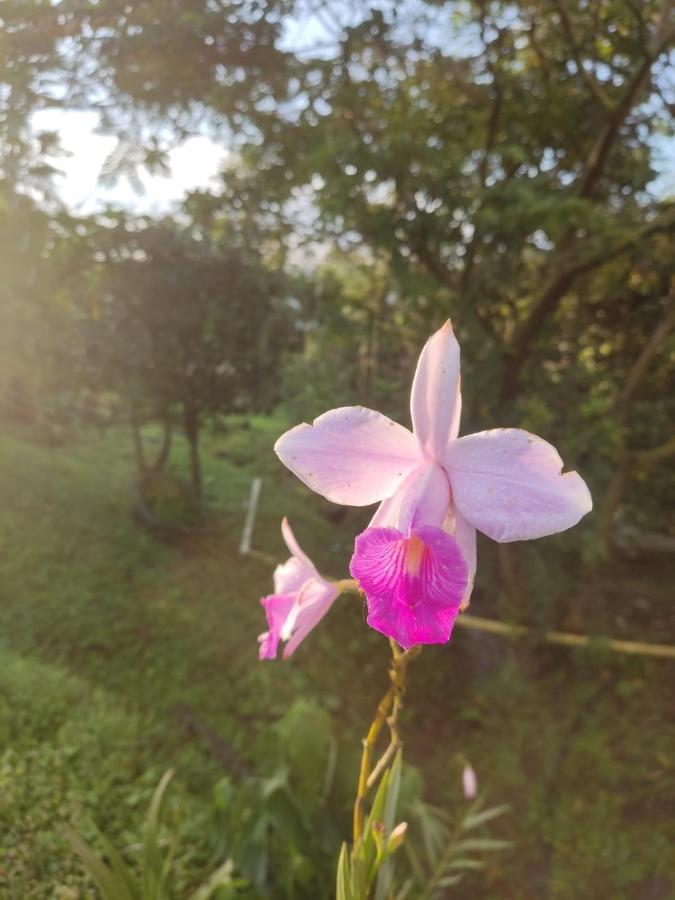 Finca Jardin Del Agua Sasaima Eksteriør billede