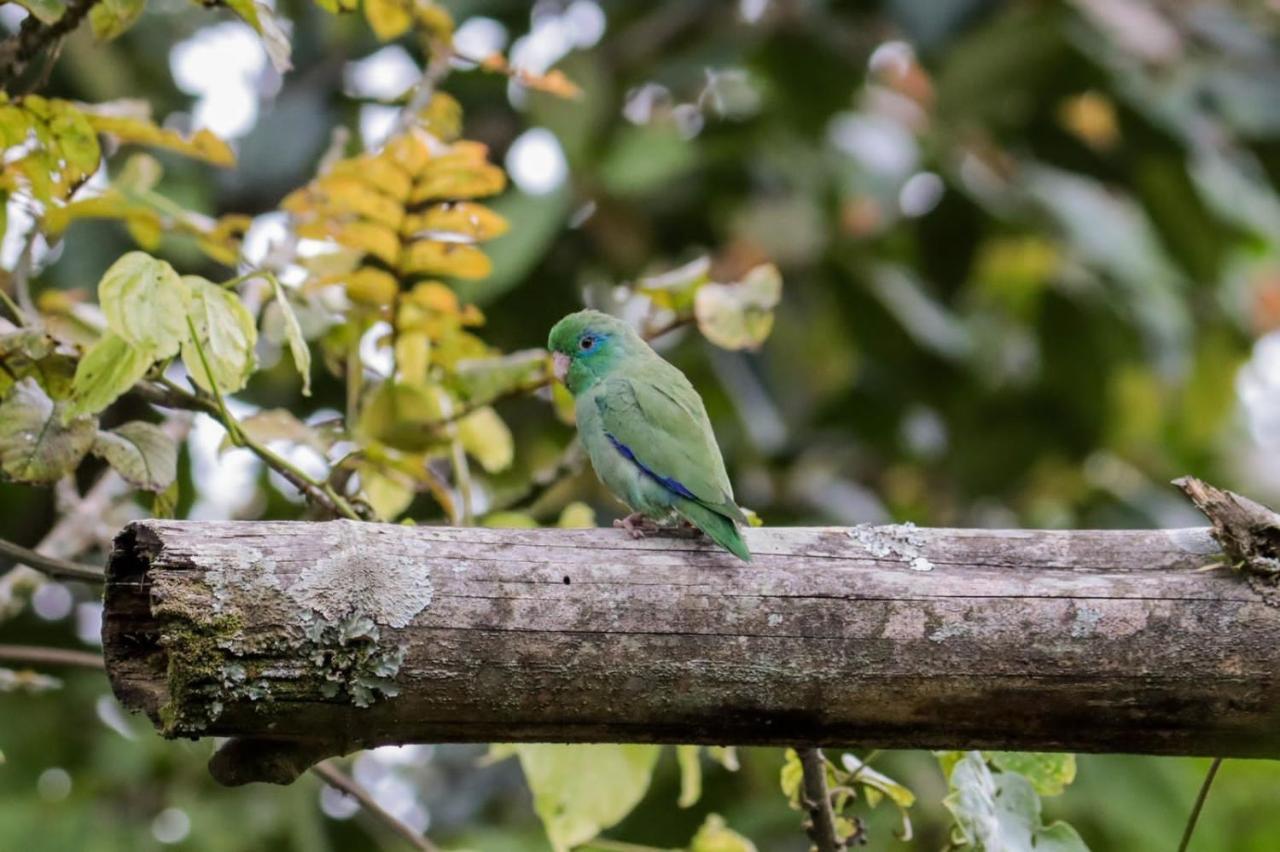 Finca Jardin Del Agua Sasaima Eksteriør billede