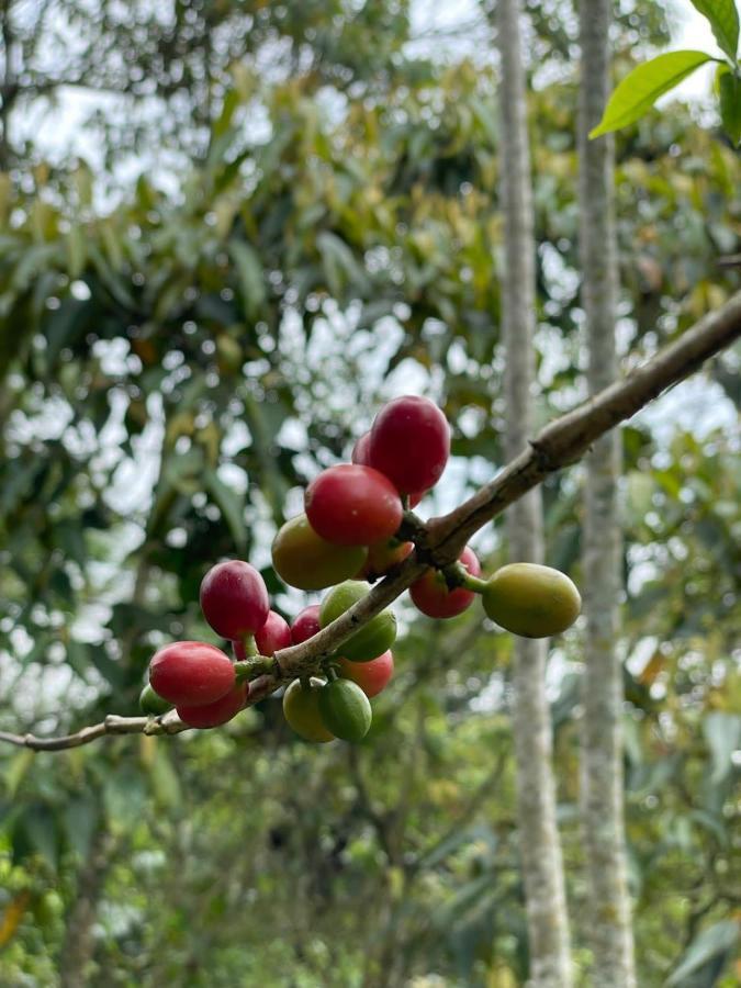 Finca Jardin Del Agua Sasaima Eksteriør billede