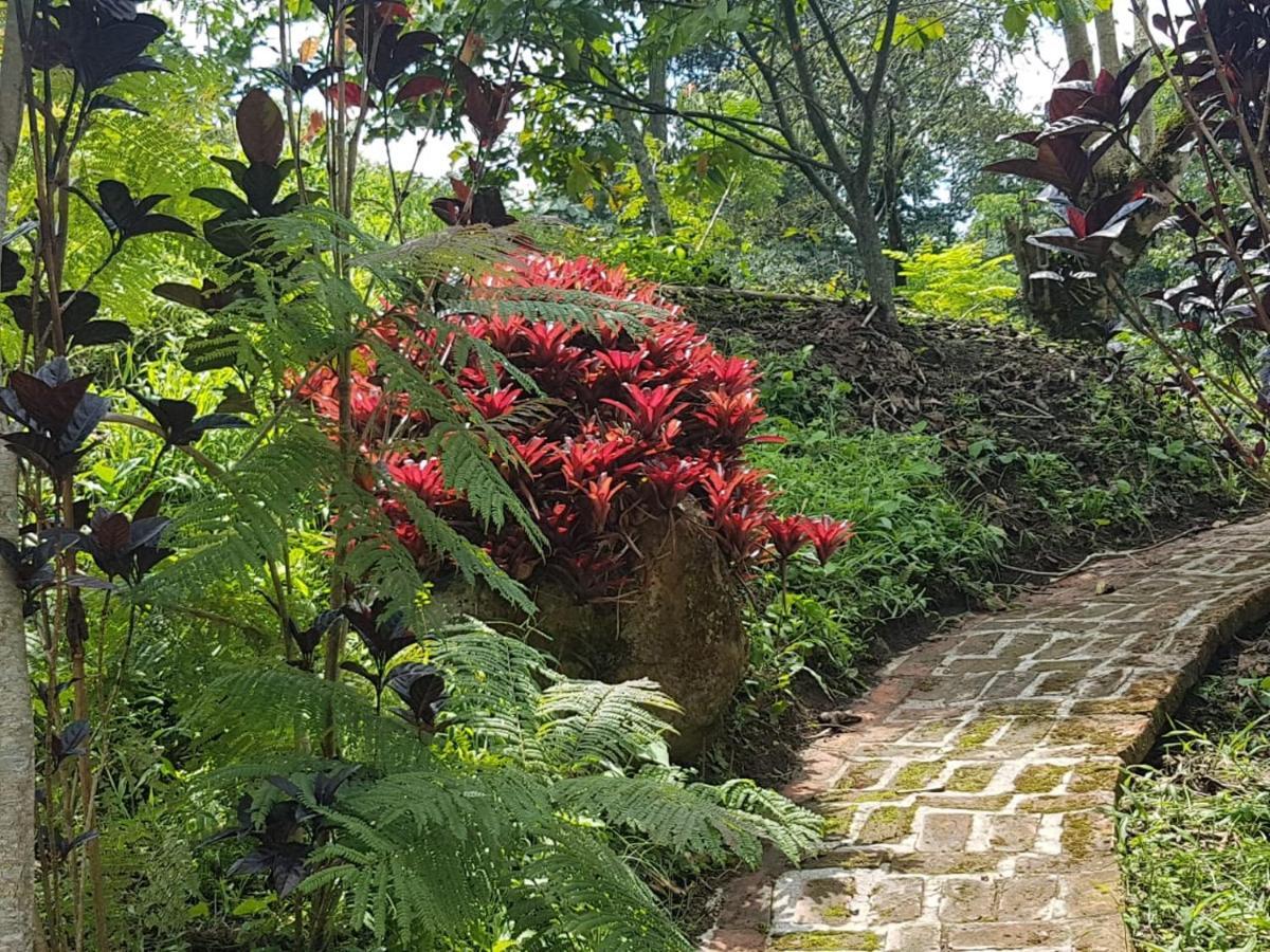 Finca Jardin Del Agua Sasaima Eksteriør billede