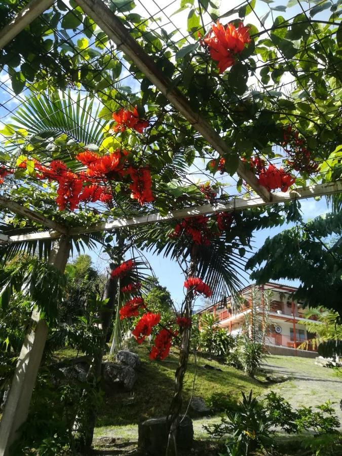 Finca Jardin Del Agua Villa Sasaima Eksteriør billede