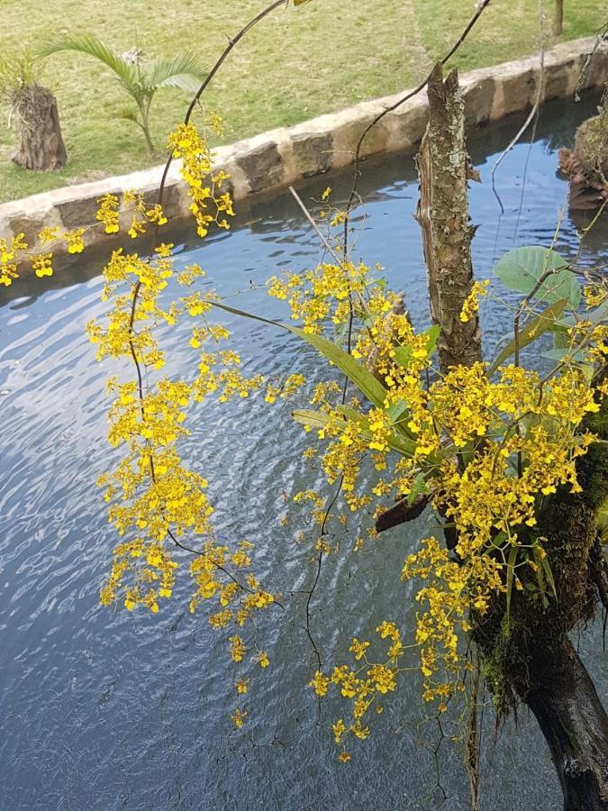 Finca Jardin Del Agua Villa Sasaima Eksteriør billede