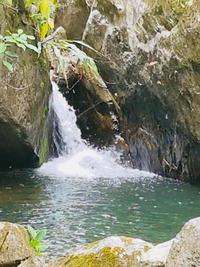 Finca Jardin Del Agua Sasaima Eksteriør billede