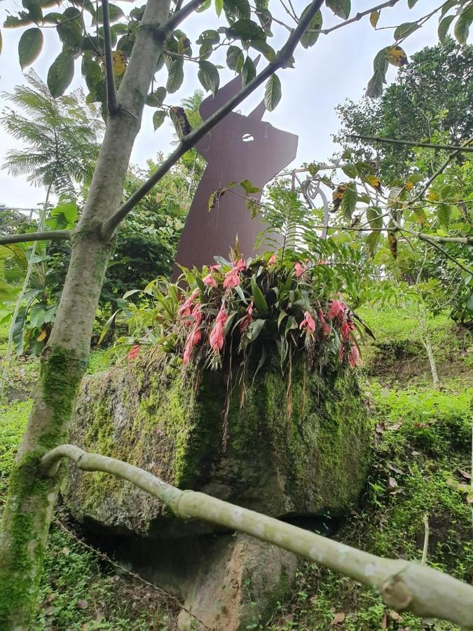 Finca Jardin Del Agua Villa Sasaima Eksteriør billede