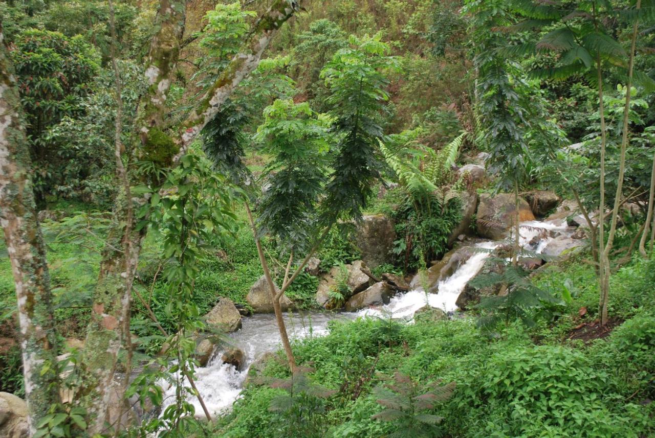 Finca Jardin Del Agua Sasaima Eksteriør billede