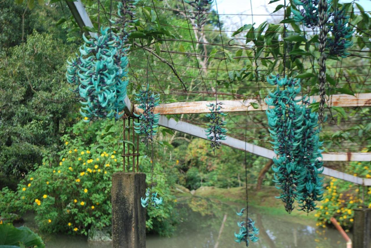 Finca Jardin Del Agua Sasaima Eksteriør billede