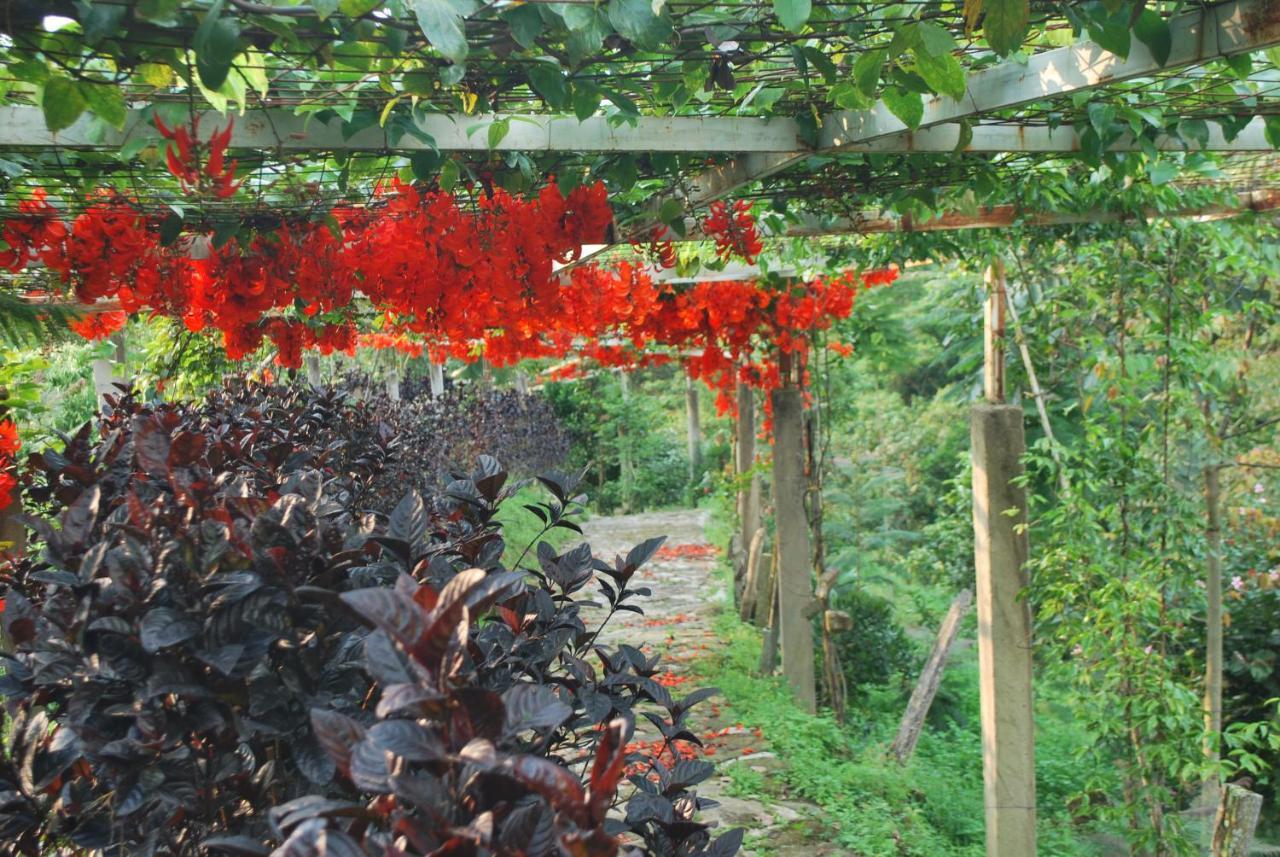 Finca Jardin Del Agua Villa Sasaima Eksteriør billede