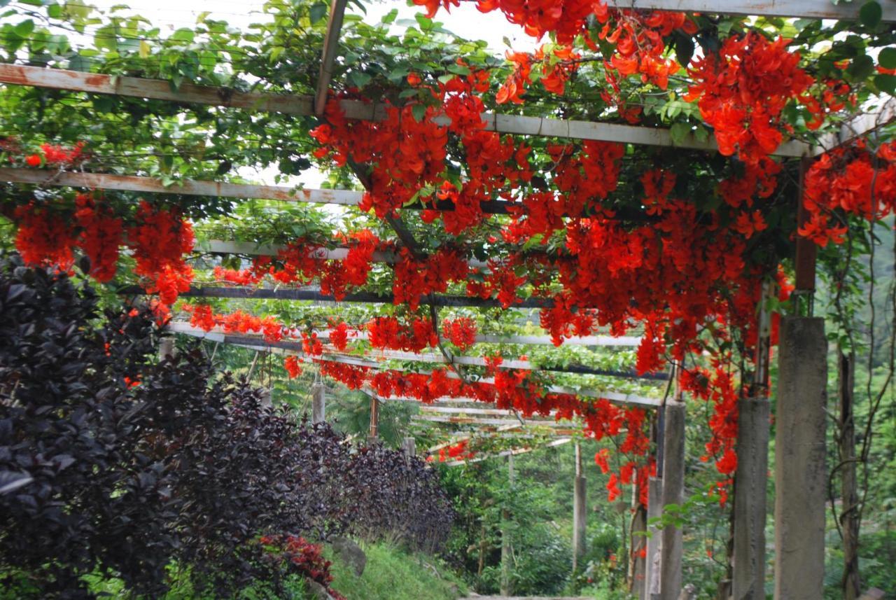 Finca Jardin Del Agua Villa Sasaima Eksteriør billede