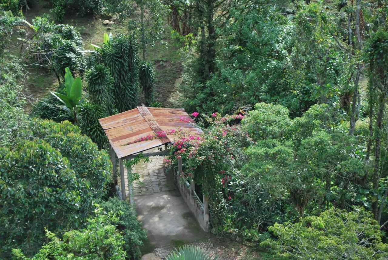 Finca Jardin Del Agua Sasaima Eksteriør billede