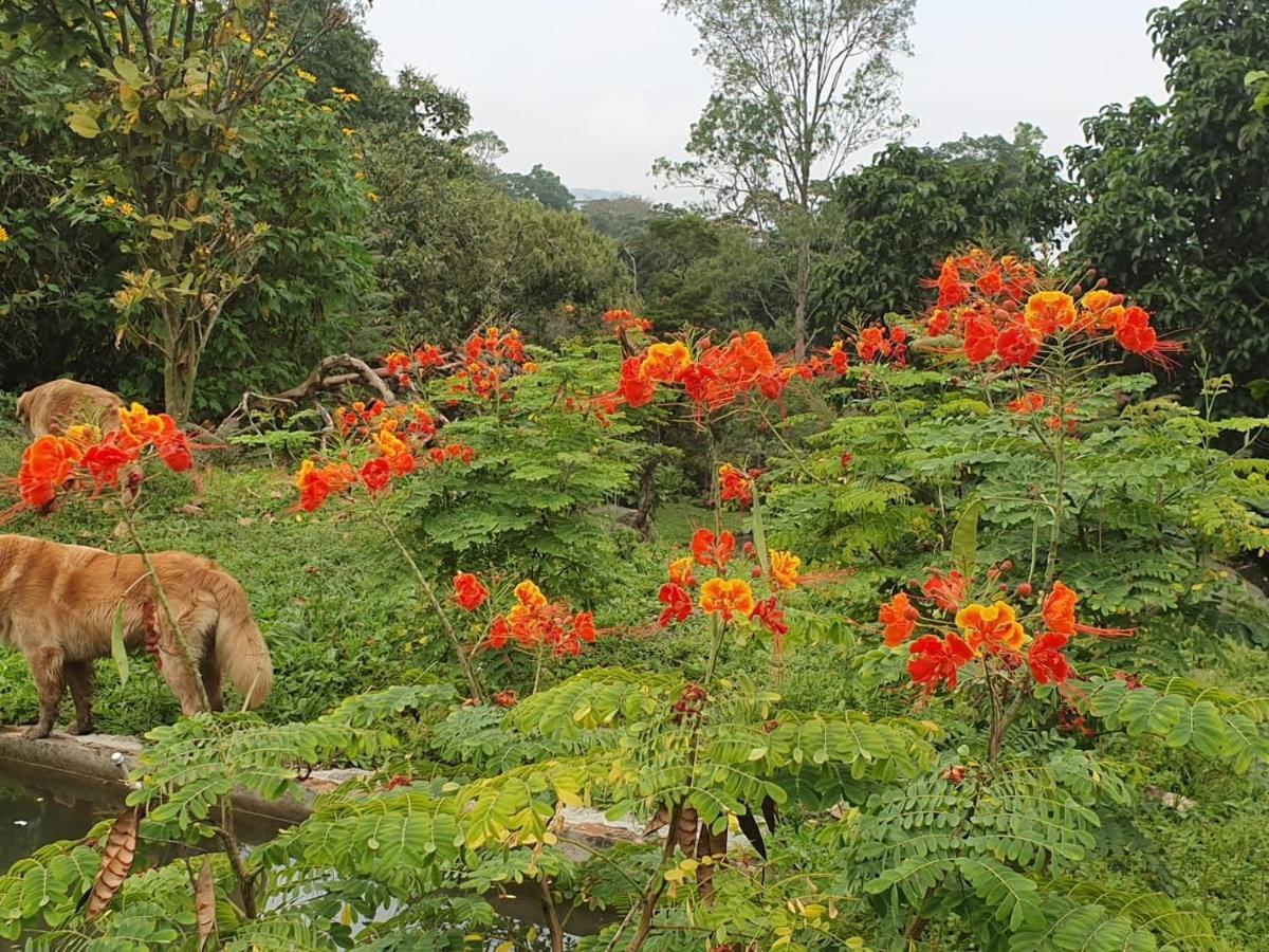 Finca Jardin Del Agua Villa Sasaima Eksteriør billede