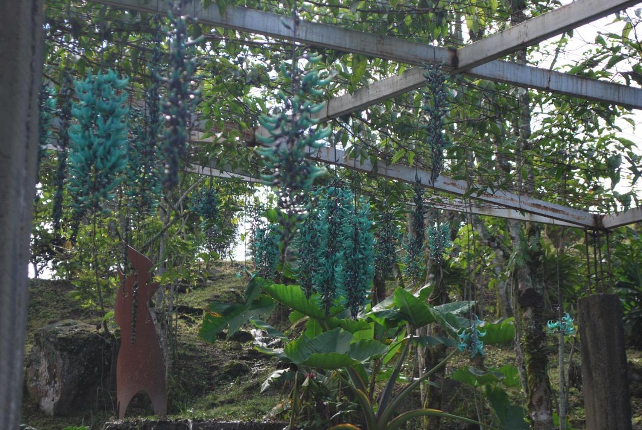 Finca Jardin Del Agua Sasaima Eksteriør billede